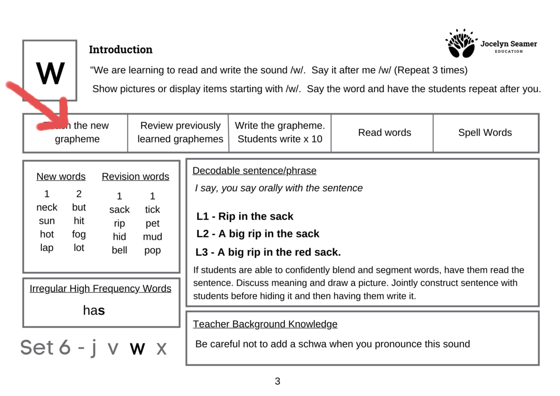 Reading Success in Action - Phonics 1