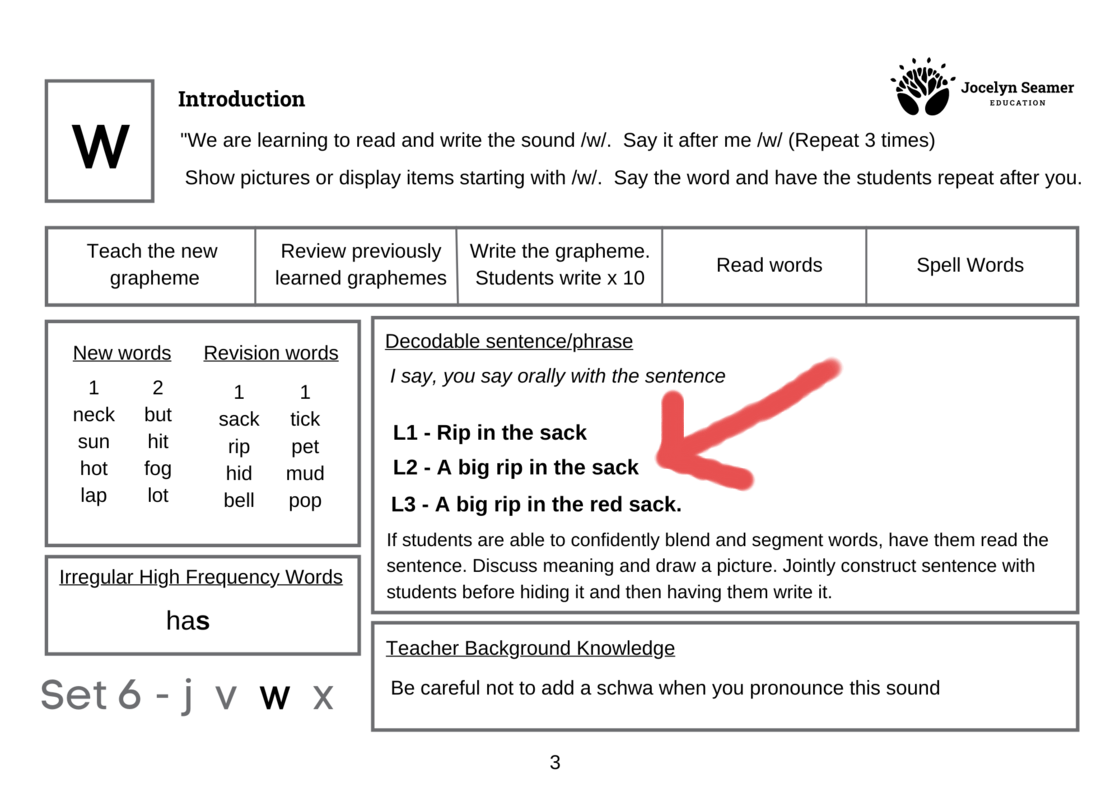 Reading Success in Action - Phonics 1