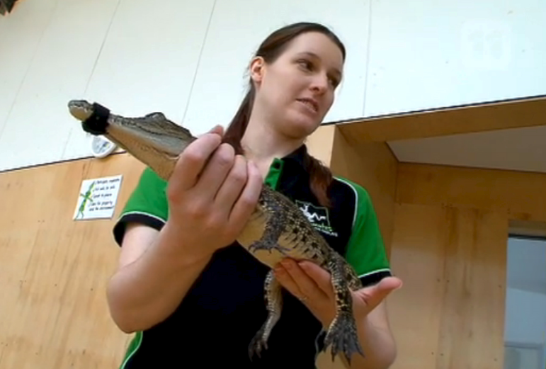 Photo of Michelle holding a baby crocodile.
