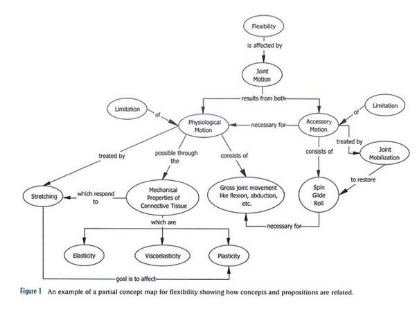 literature review conceptual mapping