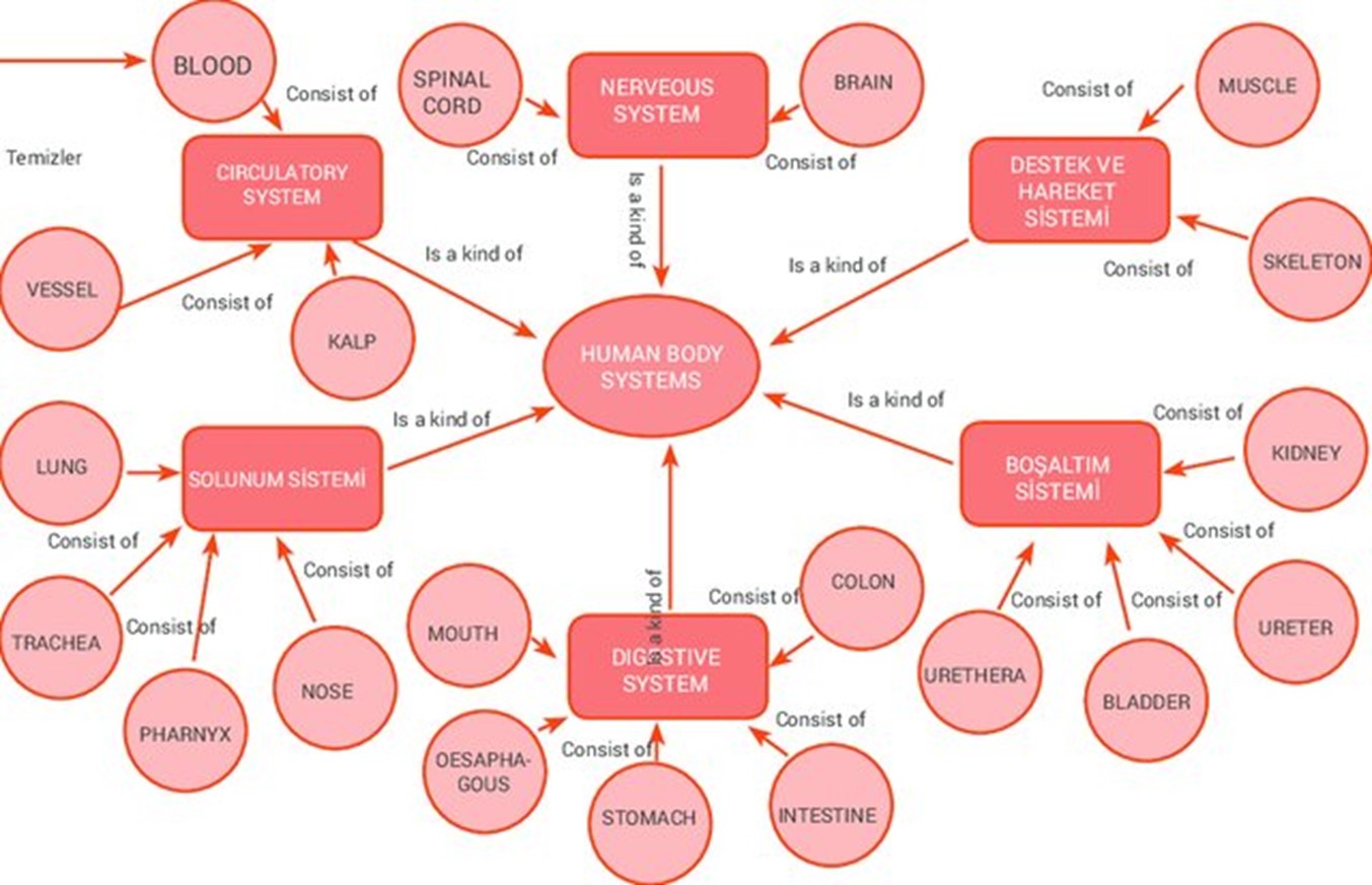 concept map of research methodology