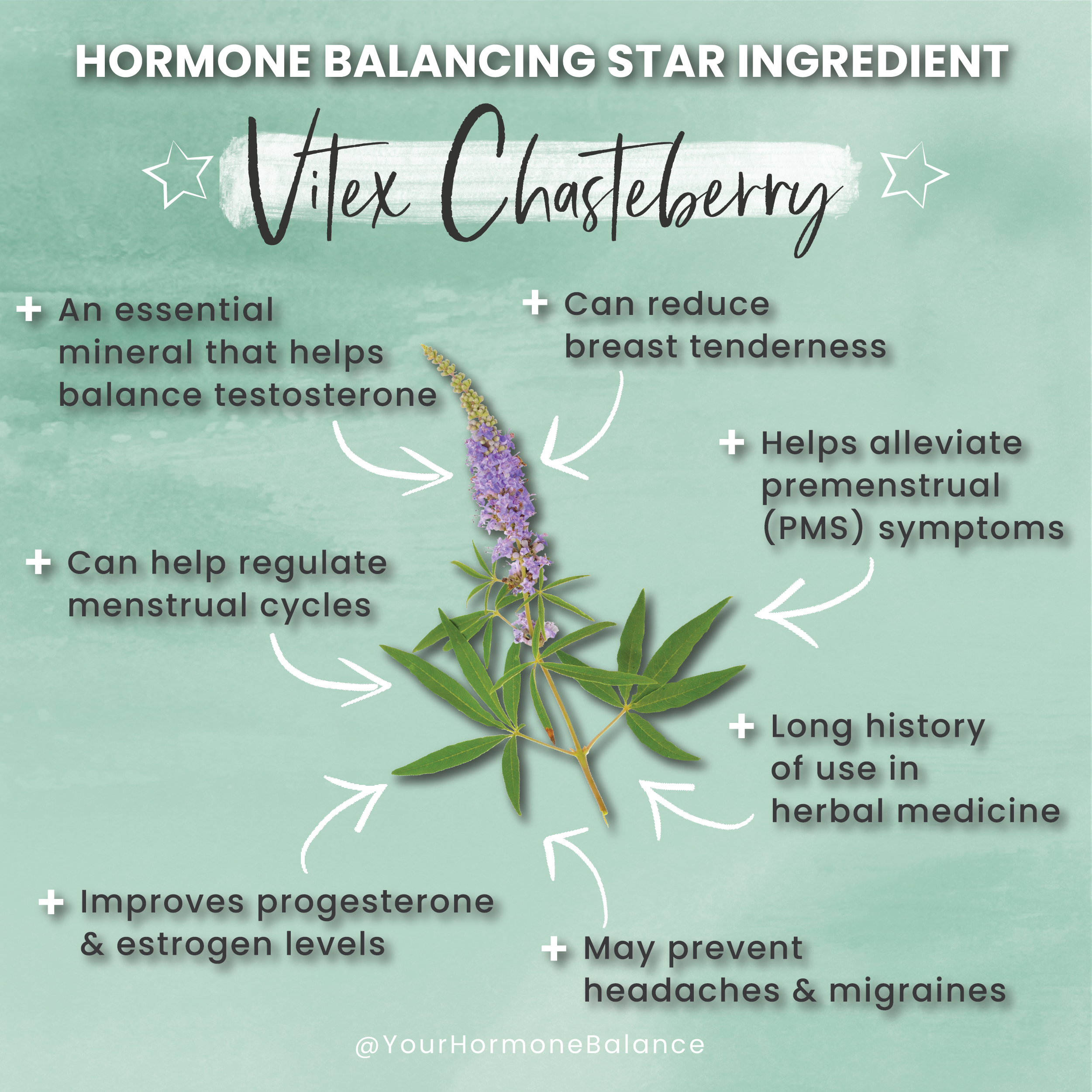 Hormone Balancing Star Ingredient Vitex Chasteberry