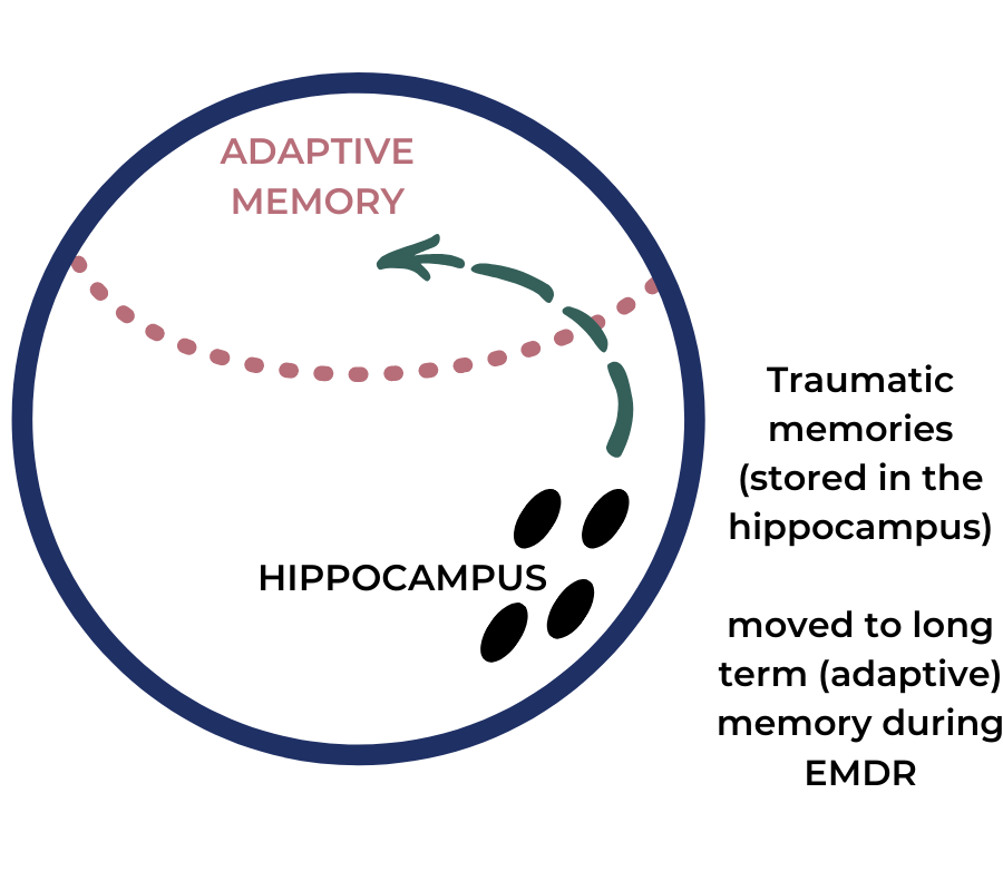 ADAPTIVE MEMORY MODEL