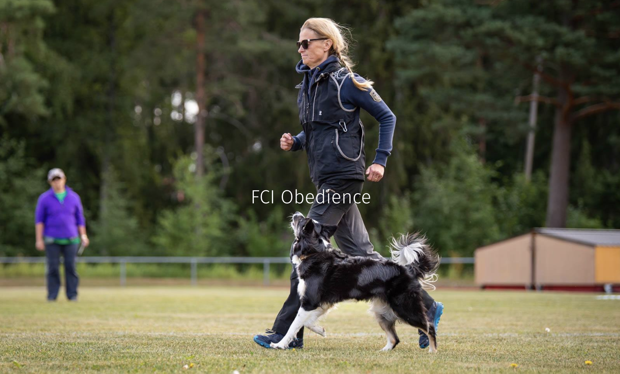 Maarit Hellman