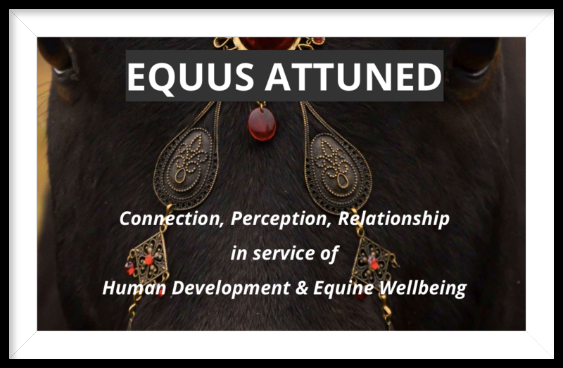 Equus Attuned Leah Dyck