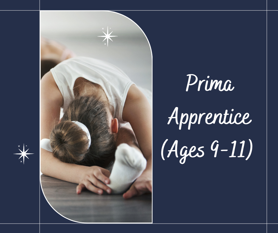 Prima Apprentice (Ages 9-11) 
