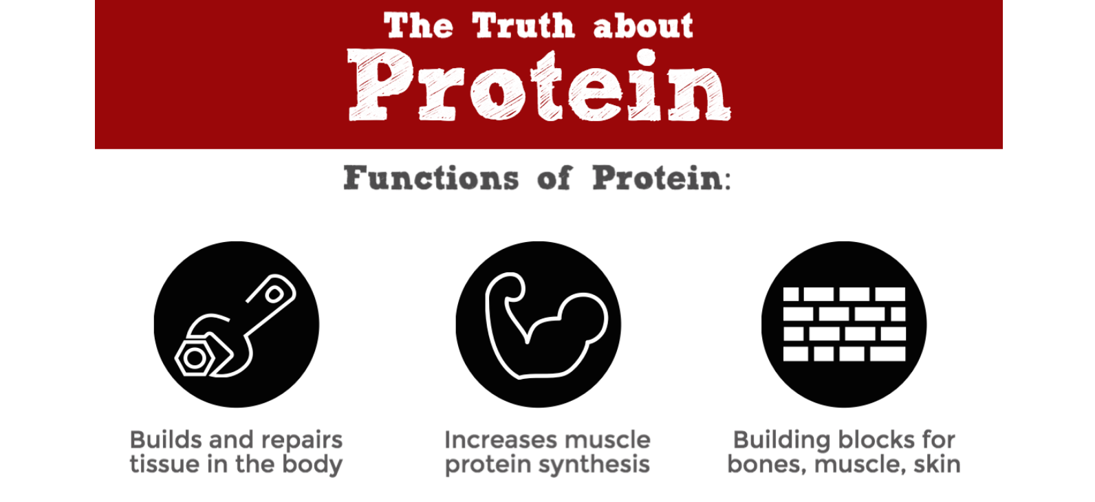 does-eating-more-protein-mean-more-muscle-sports-dietitian