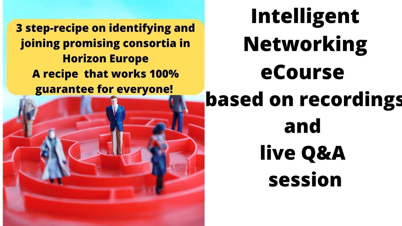 Intelligent Networking eCourse logo