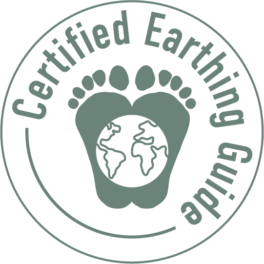Logo_certified_earthing_guide_9db18e
