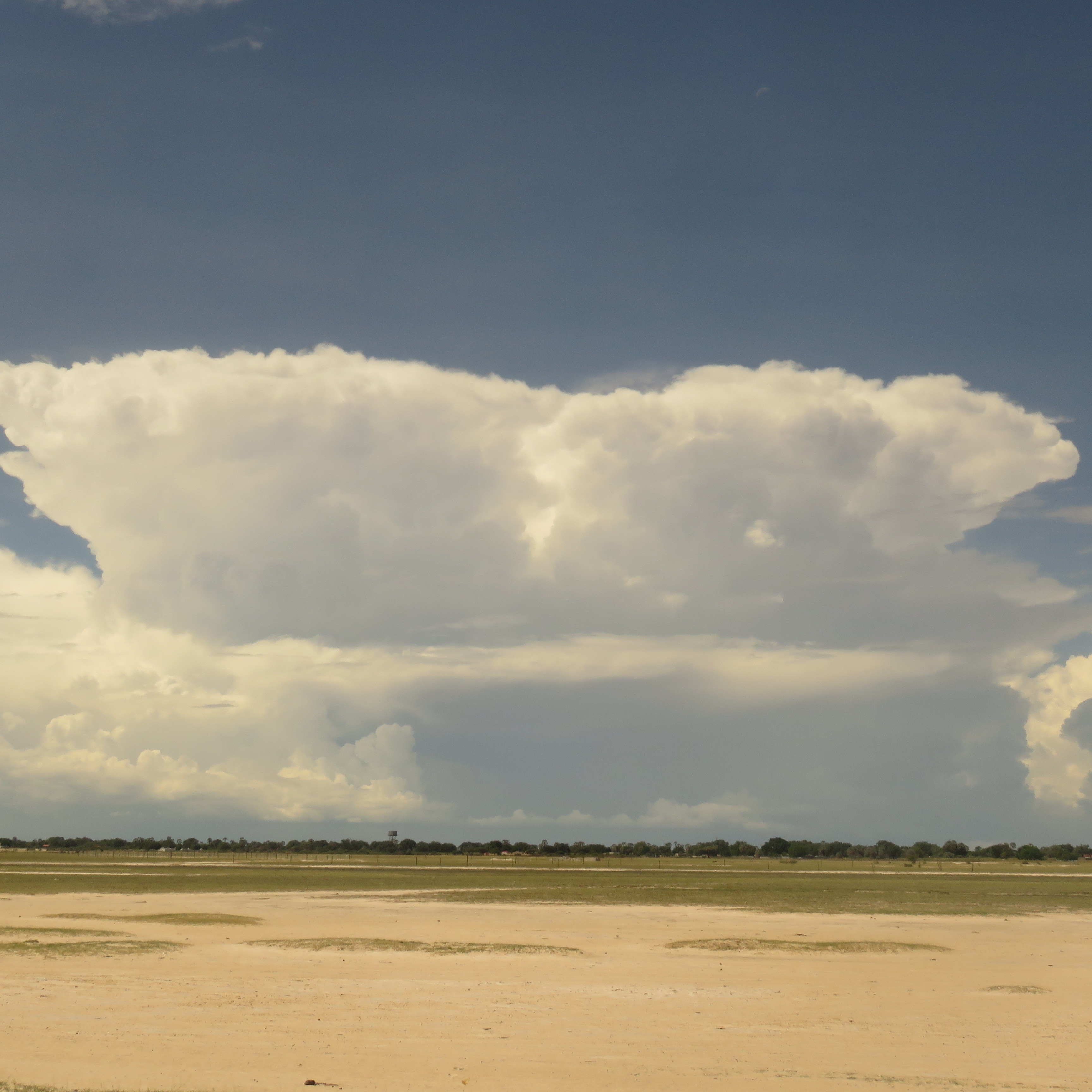 Wetlands of the North