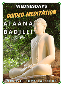 ONEment Guided Meditation