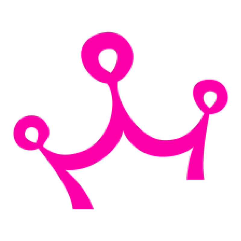 Princess Ballerinas logo