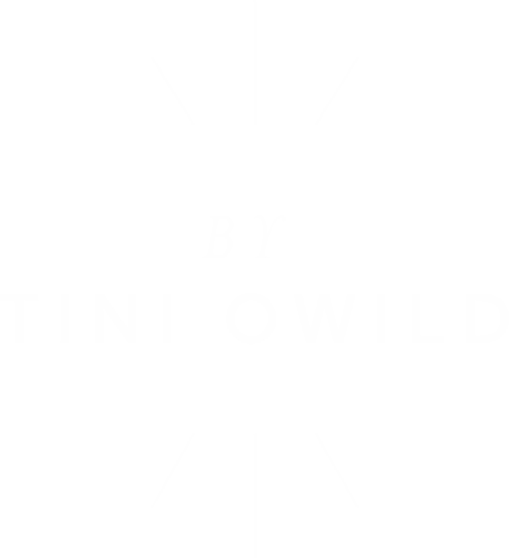 Stylewise by Tini Owild logo