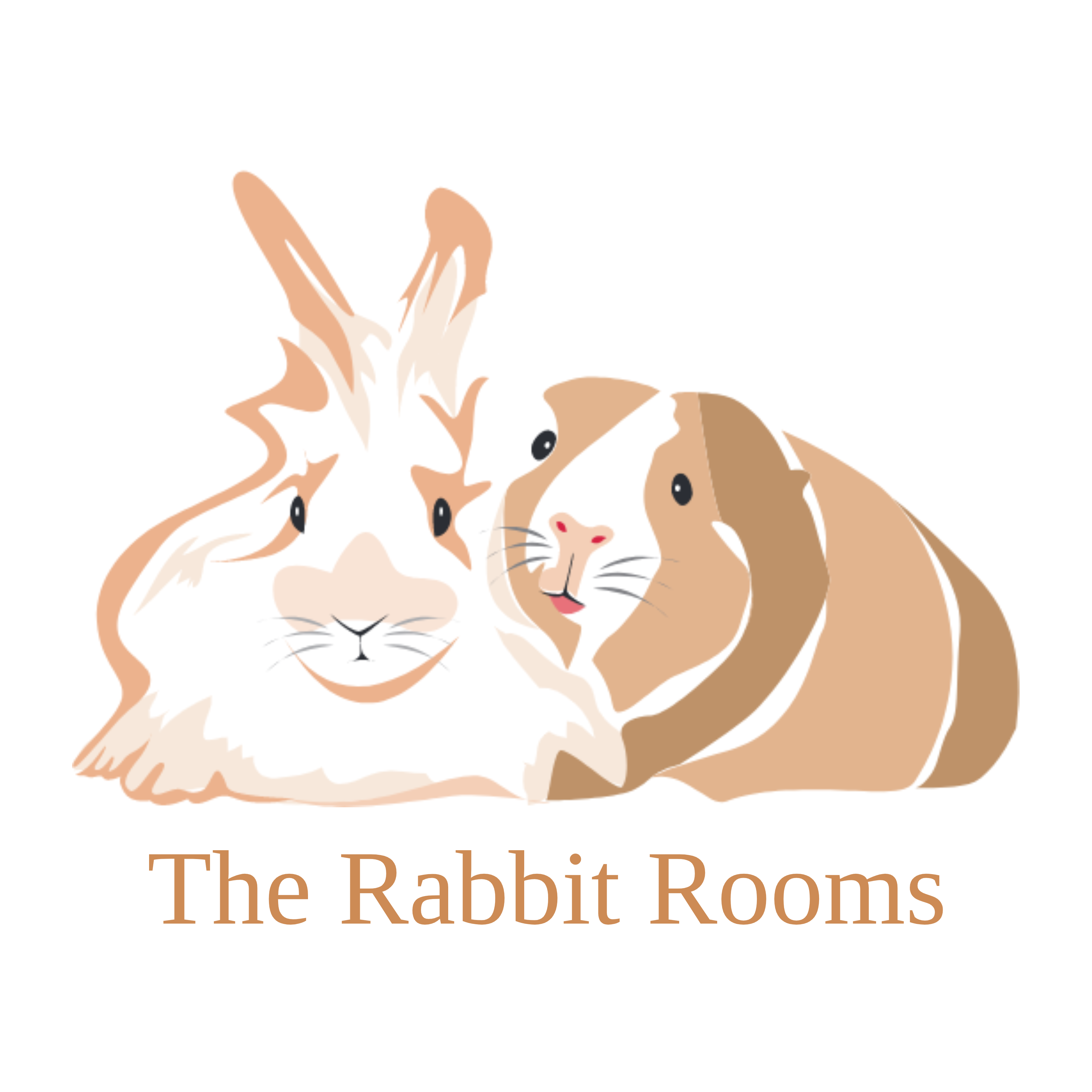 THE RABBIT ROOMS DUBLIN logo