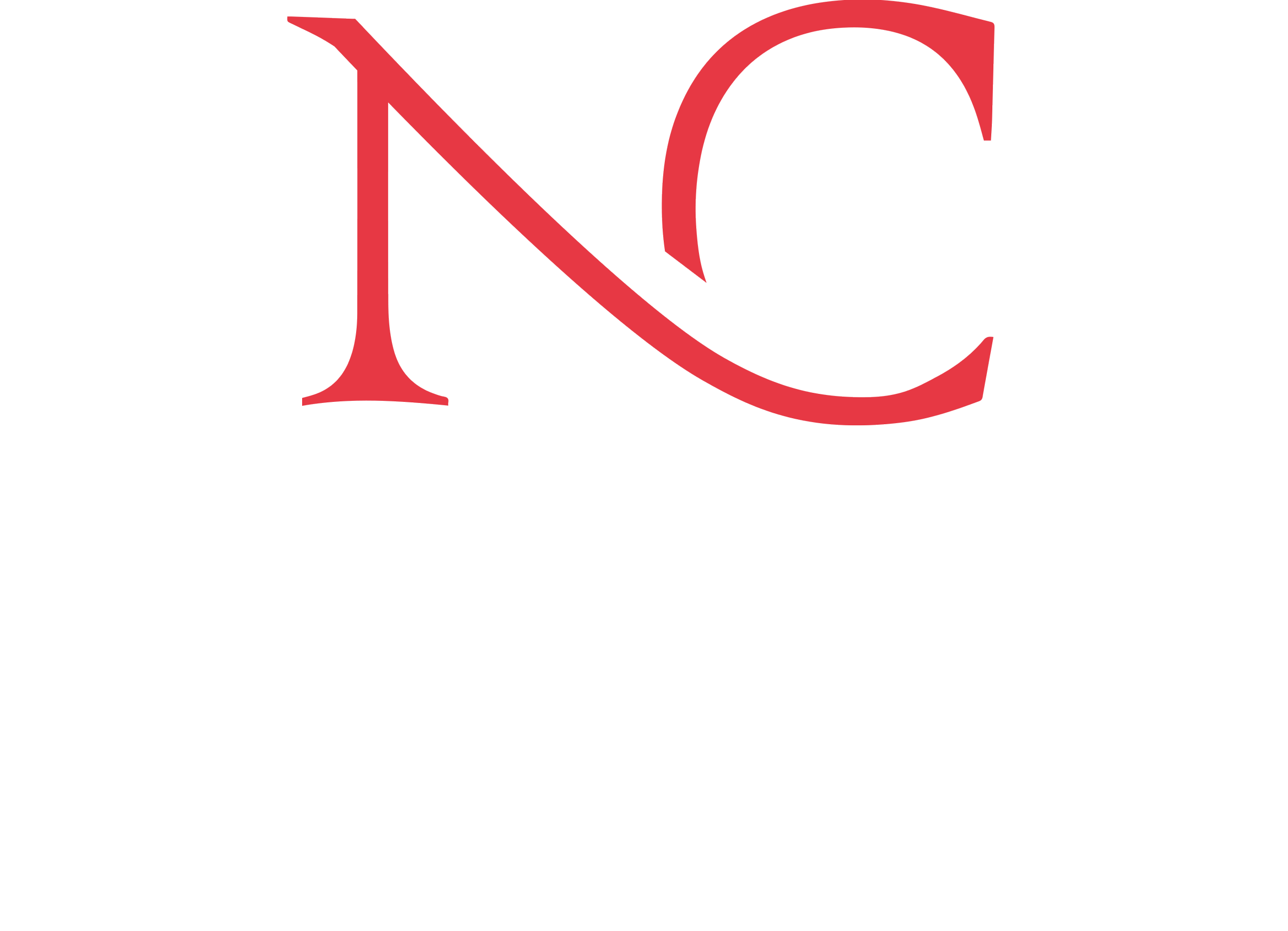 Natasja Chantell (Webside) logo