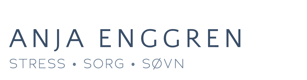 Anja Enggren logo